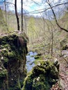 Mountain river at Zlatibor Royalty Free Stock Photo