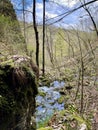 Mountain river at Zlatibor Royalty Free Stock Photo