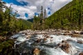 Mountain rivulet flows among large stones and dense forest.