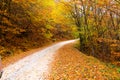 A mountain road in atumn Royalty Free Stock Photo