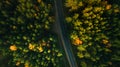 Mountain road and autumn trees above the forest. Yellow, red and green nature, high top view. Aerial drone shoot with wonderful te Royalty Free Stock Photo