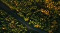 Mountain road and autumn trees above the forest. Yellow, red and green nature, high top view. Aerial drone shoot with wonderful te