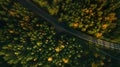 Mountain road and autumn trees above the forest. Yellow, red and green nature, high top view. Aerial drone shoot with wonderful te