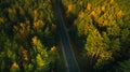 Mountain road and autumn trees above the forest. Yellow, red and green nature, high top view. Aerial drone shoot with wonderful te