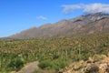 Mountain Road in Bear Canyon in Tucson, AZ Royalty Free Stock Photo