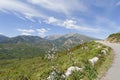 Mountain road in Corsica, France Royalty Free Stock Photo