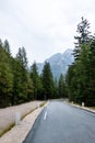 Mountain road in the early morning surrounded by forest Royalty Free Stock Photo
