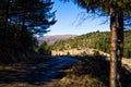 Mountain road in early spring, mount Stolovi