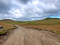 Sheep heard and mountain landscape Royalty Free Stock Photo