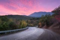 Mountain road through the forest at colorful sunset Royalty Free Stock Photo