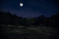 Mountain Road through the forest on a full moon night. Scenic night landscape of dark blue sky with moon. Azerbaijan Royalty Free Stock Photo