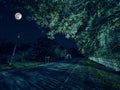 Mountain Road through the forest on a full moon night. Scenic night landscape of dark blue sky with moon. Azerbaijan. Long shutter Royalty Free Stock Photo