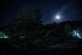 Mountain Road through the forest on a full moon night. Scenic night landscape of dark blue sky with moon Royalty Free Stock Photo