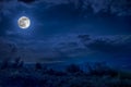 Mountain Road through the forest on a full moon night. Scenic night landscape of dark blue sky with moon Royalty Free Stock Photo