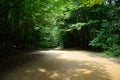 Mountain road in forest. Shapsugsky forest Royalty Free Stock Photo