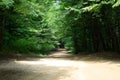 Mountain road in forest. Shapsugsky forest Royalty Free Stock Photo