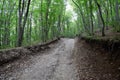 Mountain road in forest. Shapsugsky forest Royalty Free Stock Photo