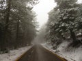 A mountain road full of snow, mt Parnitha national park, Greece Royalty Free Stock Photo