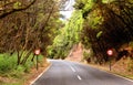 Mountain road in the Garajonay National Park, La Gomera
