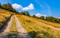 Mountain road through hillside with beech forest Royalty Free Stock Photo