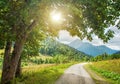 Mountain road. Landscape with rocks, sunlight through a tree and an asphalt road in the summer. Royalty Free Stock Photo