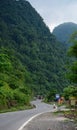 Mountain road with many green trees in Dalat, Vietnam