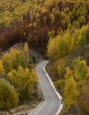 Mountain road passing through beautiful colorful autumn forest Royalty Free Stock Photo