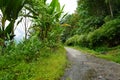 Mountain road at Sikkim Offbeat Village towards Lungchok