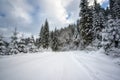 Mountain road through the snowy fir forest, scenic winter landscape with snow, trees and sky during snowfall, outdoor, travel Royalty Free Stock Photo