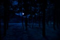 Mountain Road through the snowy forest on a full moon night. Scenic night winter landscape of dark blue sky with moon and stars Royalty Free Stock Photo