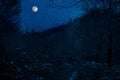 Mountain Road through the snowy forest on a full moon night. Scenic night winter landscape of dark blue sky with moon and stars Royalty Free Stock Photo