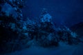 Mountain Road through the snowy forest on a full moon night. Scenic night winter landscape of dark blue sky with moon and stars Royalty Free Stock Photo