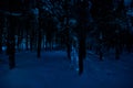 Mountain Road through the snowy forest on a full moon night. Scenic night winter landscape of dark blue sky with moon and stars Royalty Free Stock Photo
