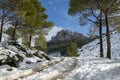 Mountain road to La Serrella (1.359 m) mountain in winter.