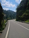 Mountain road, Transylvania, Romania Royalty Free Stock Photo