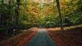 Mountain road traveled with autumn colors Royalty Free Stock Photo