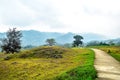 Mountain road with tress and grass landscape