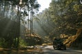 Mountain road in uttaranchal