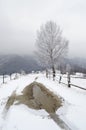 Mountain road. Winter landscape in Carpatian Mountains