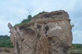 Mountain rock in a place that is whitish brown