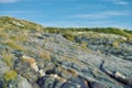 Mountain, rock and outdoor in bush with grass in nature, environment and landscape with blue sky. Countryside, hill and Royalty Free Stock Photo