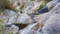 Mountain rockpools in Montague in the Western Cape