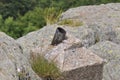 Mountain rocks detail with rusty metallic object