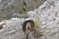 Mountain rocks detail with rusty metallic object