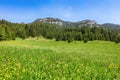 Mountain with rocks and forest - Ohniste, Low Tatras Royalty Free Stock Photo
