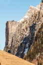 Mountain rocky fir wood forest and snow. Ortisei, Italy Royalty Free Stock Photo