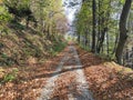 Mountain Rudnik Serbia in autumn Royalty Free Stock Photo