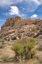 Mountain of rugged rocks and Joshua trees at Joshua Tree National Park desert Royalty Free Stock Photo