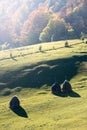 Mountain rural landscape with haystacks in autumn Royalty Free Stock Photo