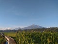 Merbabu and Merapi Mountain